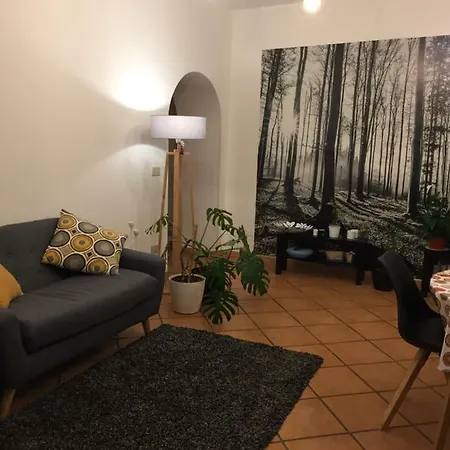 Virginia House Palermo